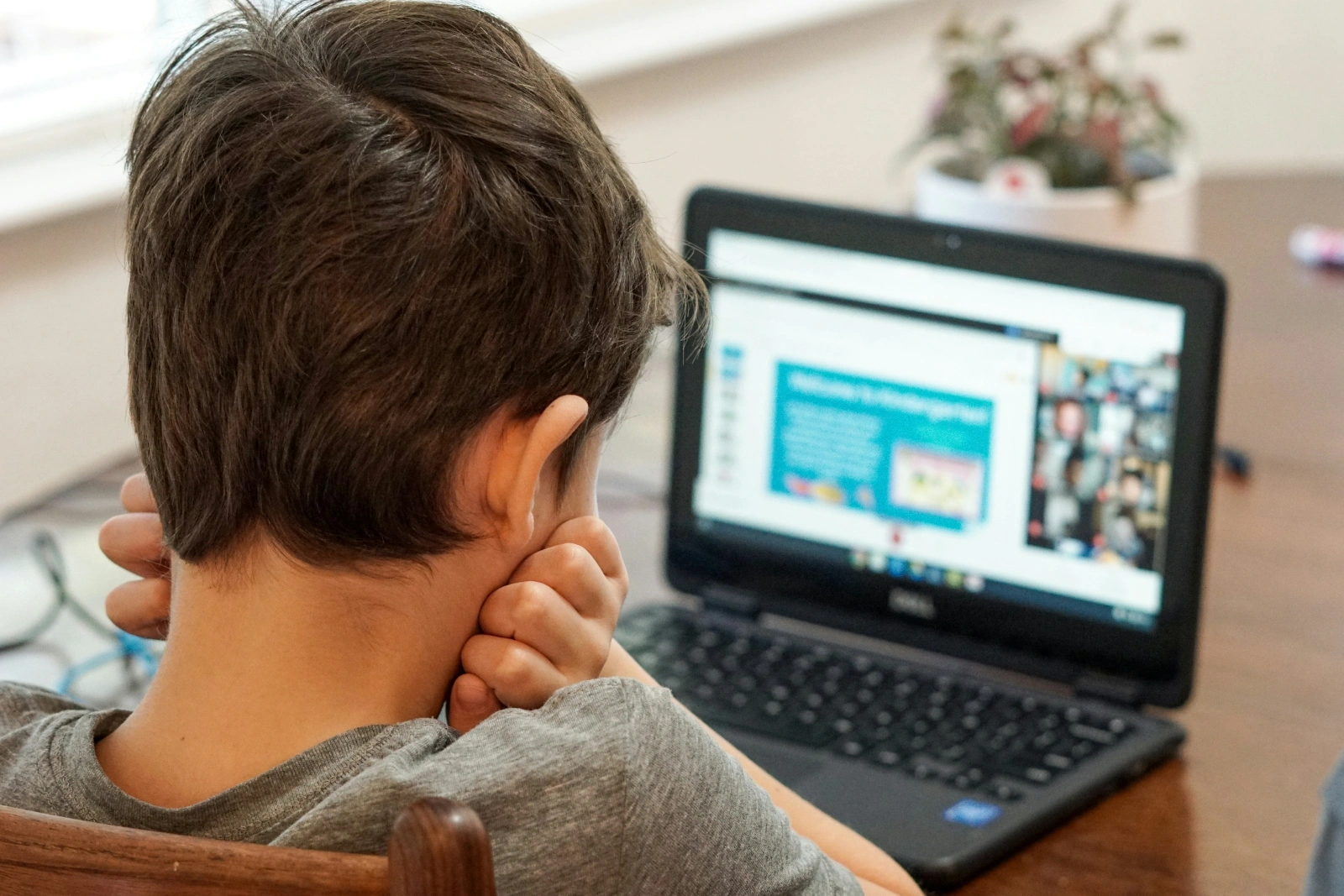Online Education vs Offline: Which Is Best for You?